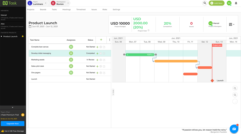 ntask gantt chart